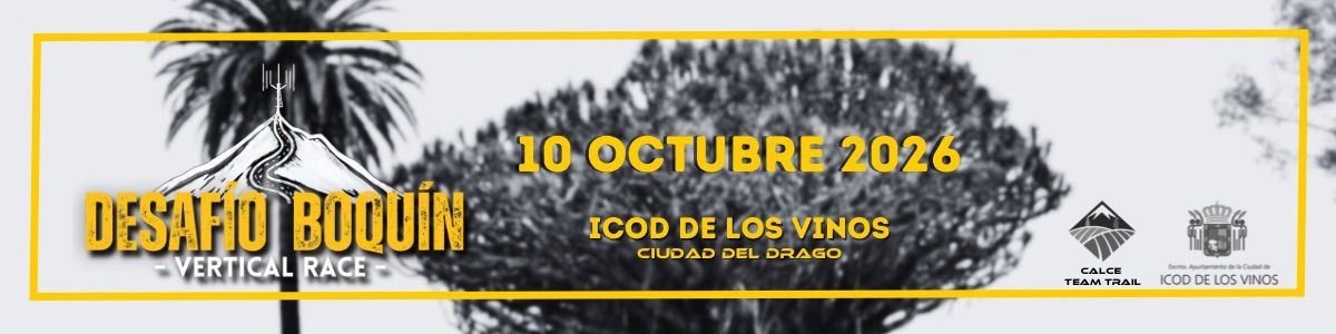 DESAFÍO BOQUÍN VERTICAL RACE 2026